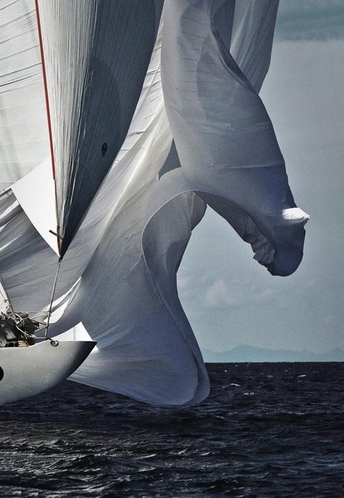 Sailboat with large sails billowing in the wind on a body of water.